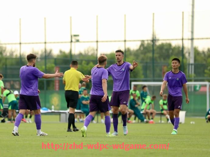 问鼎娱乐官方网站-德甲球队简称大全与使用频率分析