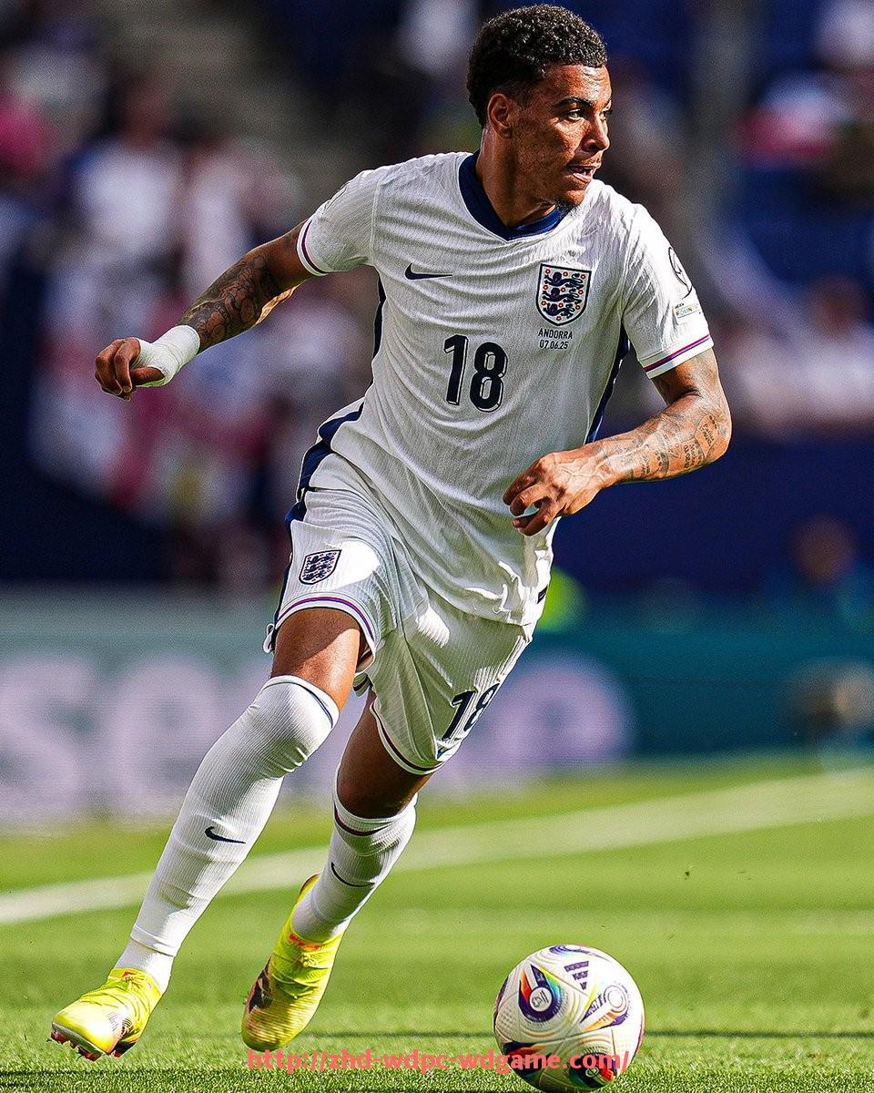 问鼎娱乐官方网站-拥有资本背景的德甲球队及商业战略解析