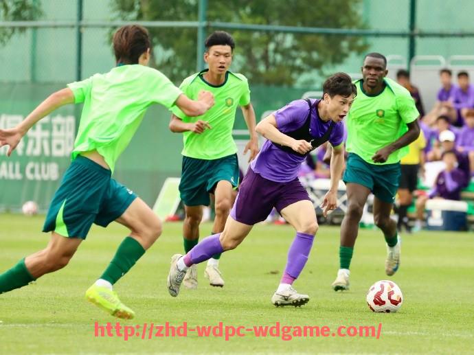 问鼎娱乐官方网站-法甲各支球队战术变化趋势及其对赛季成绩的直接影响分析